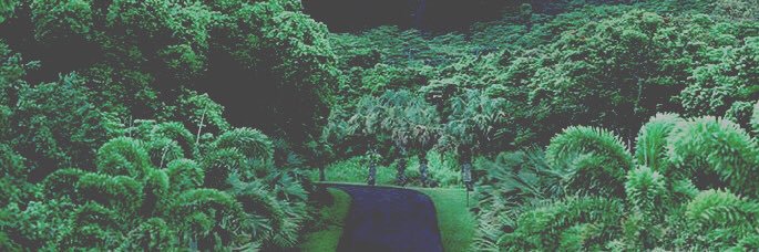 ceezus_'s profile banner image