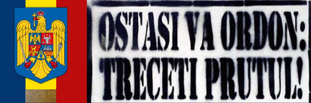 SanduVeaceslav's profile banner image