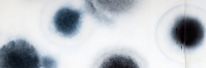 MattwMorgan_'s profile banner image