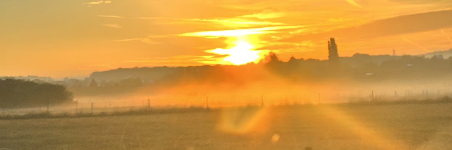 tjo1991's profile banner image