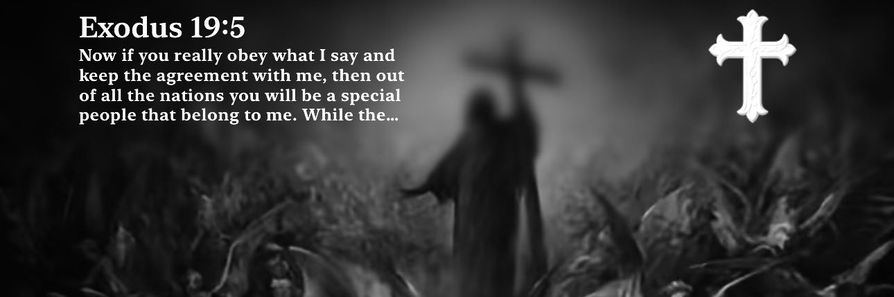 rileysdeadd's profile banner image