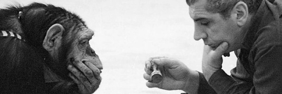 big dog arjun banner