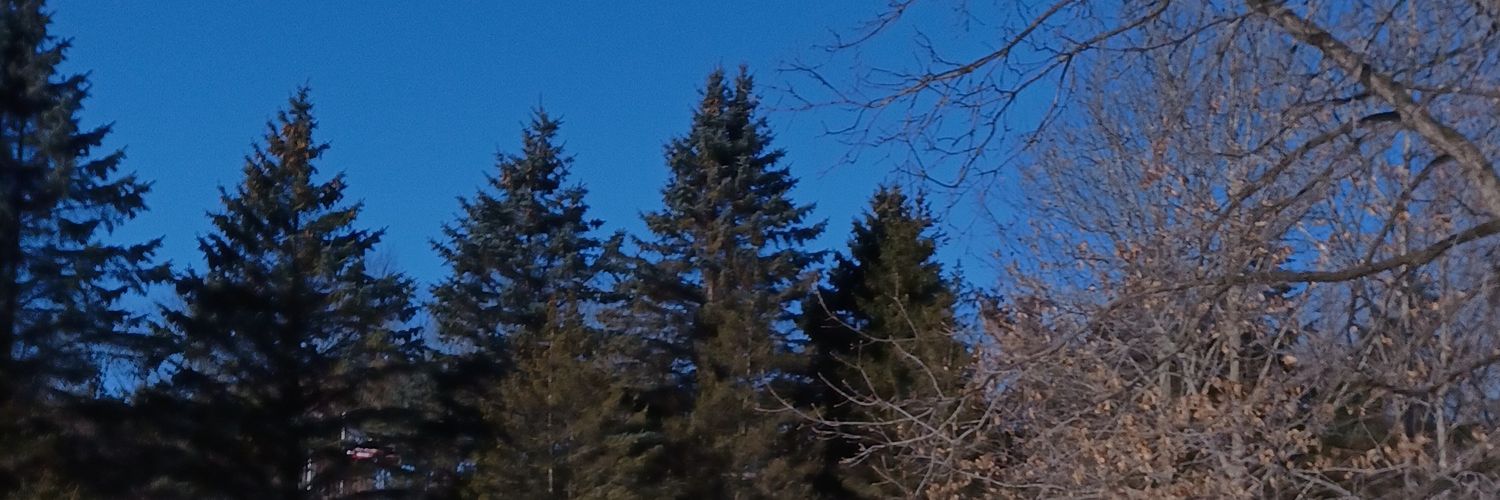 DebACarpenter's profile banner image