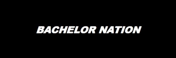 BSleuthing's profile banner image
