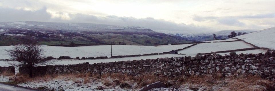 CallaghanDaniel's profile banner image