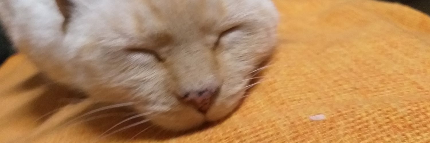 parxjimn's profile banner image