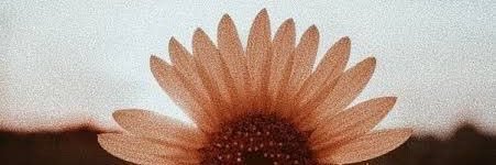 hannahbeasley64's profile banner image