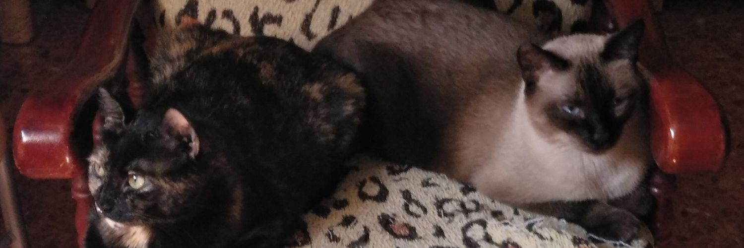 VVferg's profile banner image