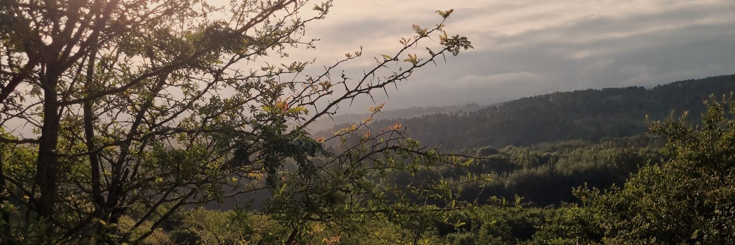 MartuuRiera's profile banner image