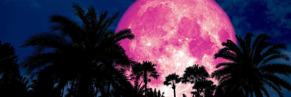 ⚡️Landolfi banner