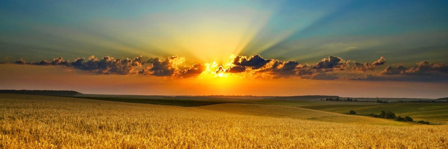 UkraineMIT's profile banner image