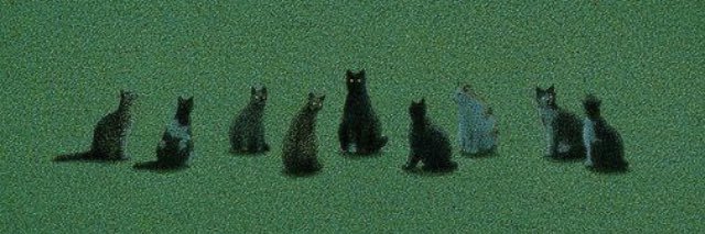 Biastein11's profile banner image