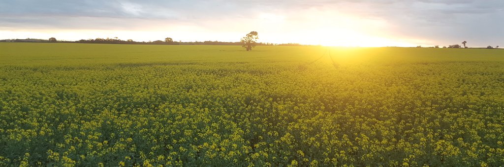 Andrew (Drew) Christian banner