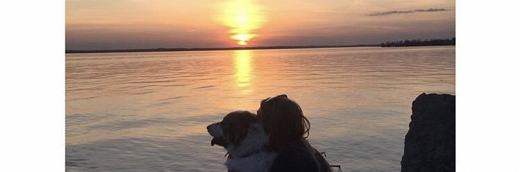 couurtanne's profile banner image