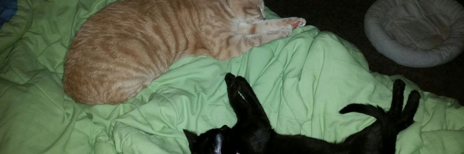 ChubbyGamer24's profile banner image