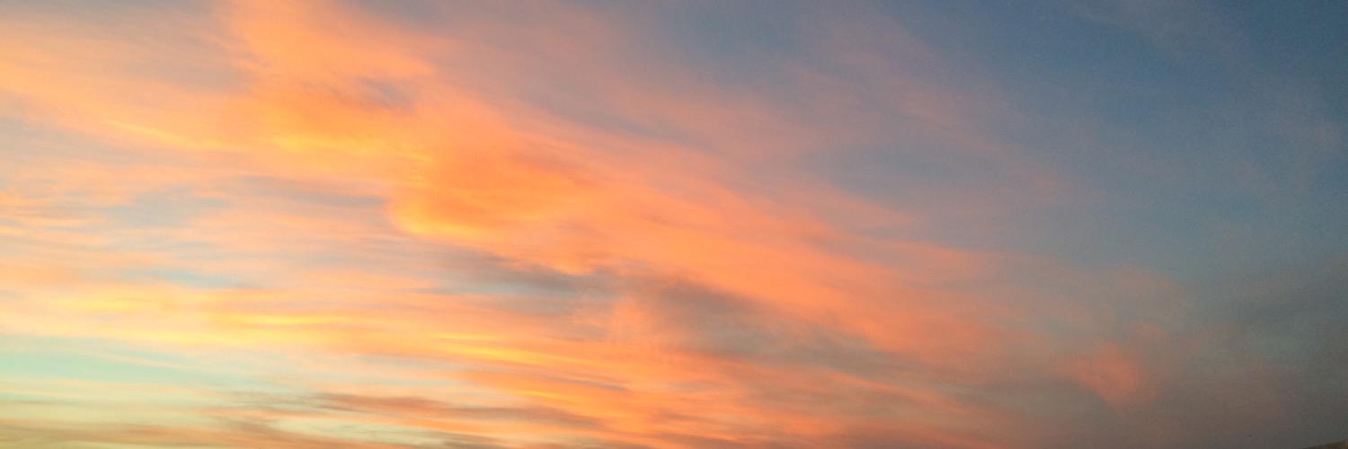 esruru2's profile banner image