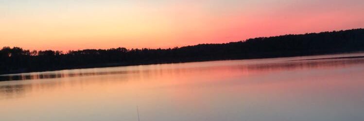 Carter Robertson banner