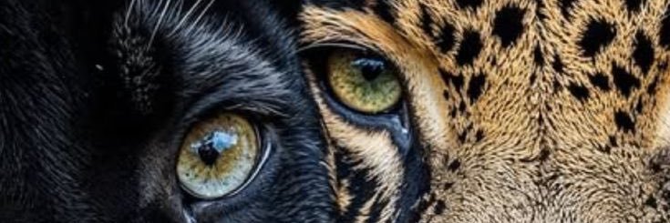 xxbeatriz0's profile banner image