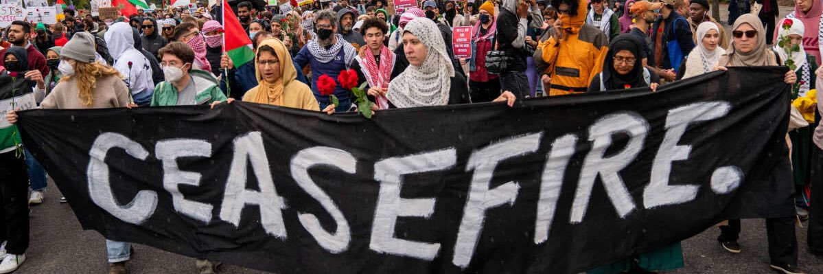 Fully Radicalized by the DNC banner