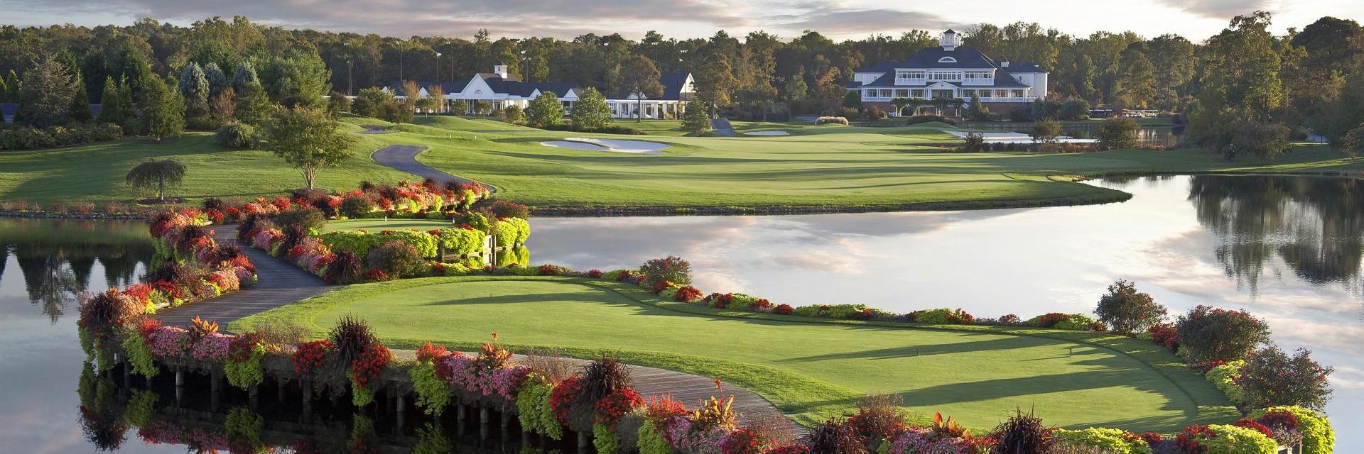 BaywoodTurf's profile banner image