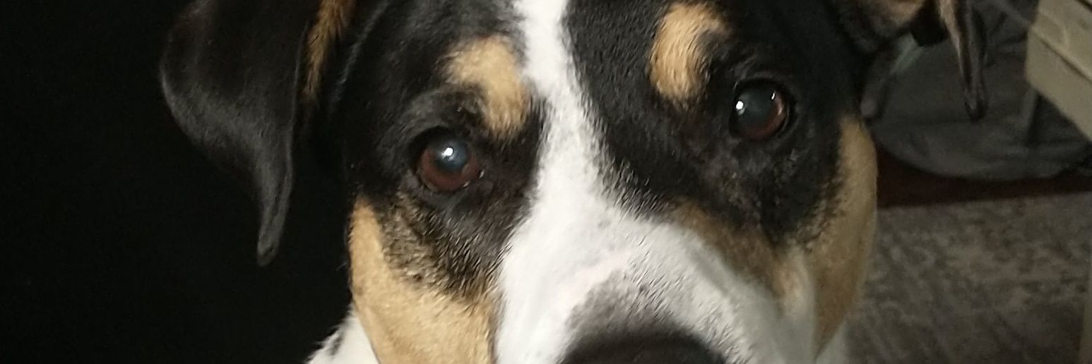 emilylynn321's profile banner image