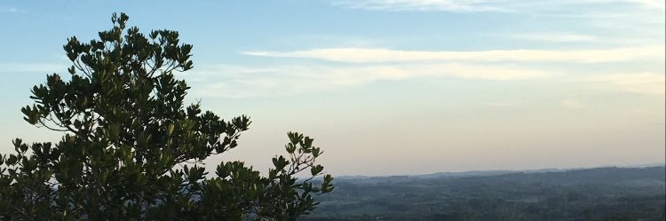 kelvindrawanz's profile banner image