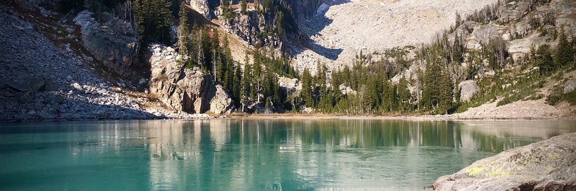 Jamie Anderson banner