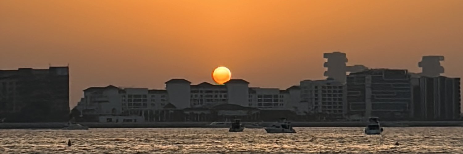 birdpassenger's profile banner image