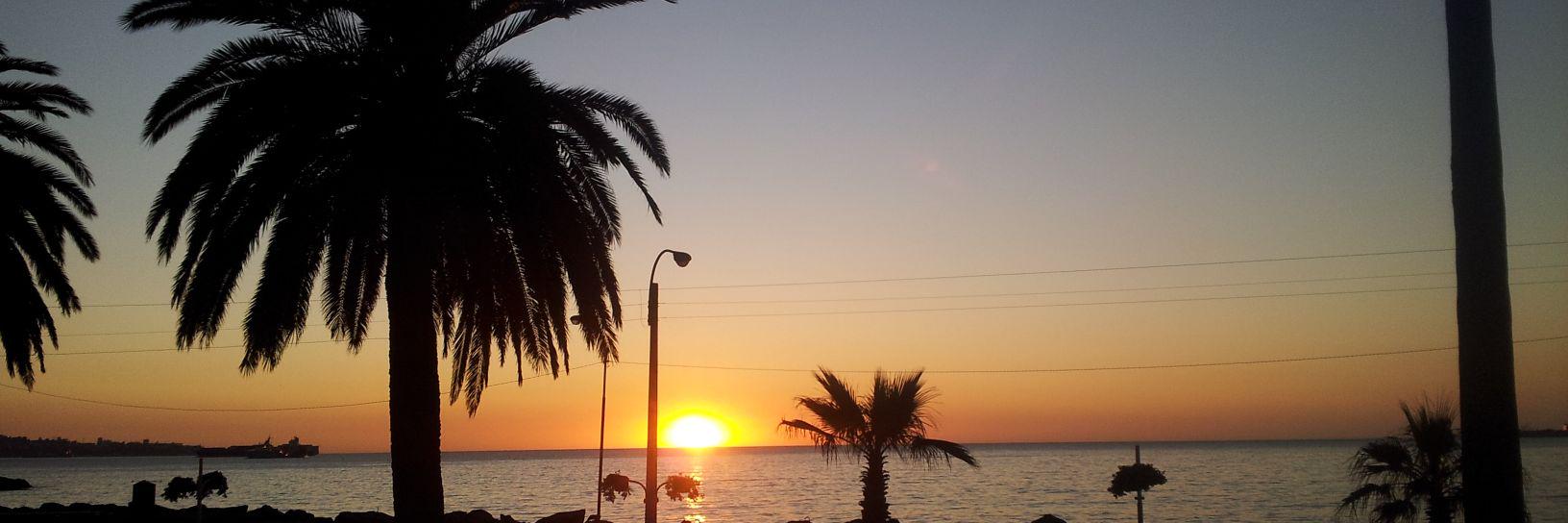 Soledad_OP's profile banner image