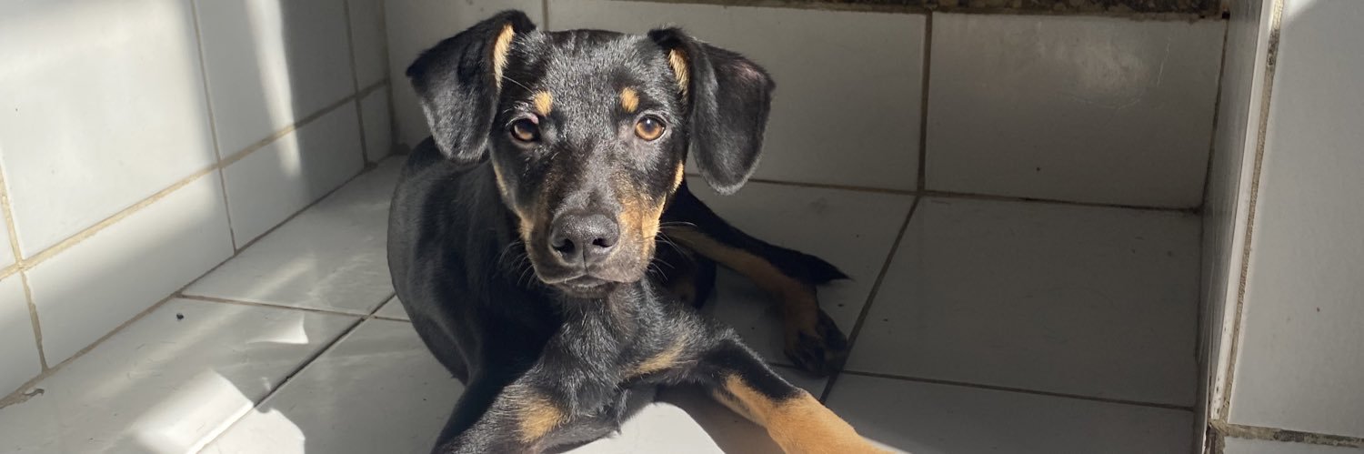 Taaaioliveira's profile banner image