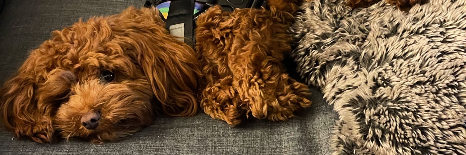 lifewithtimos's profile banner image