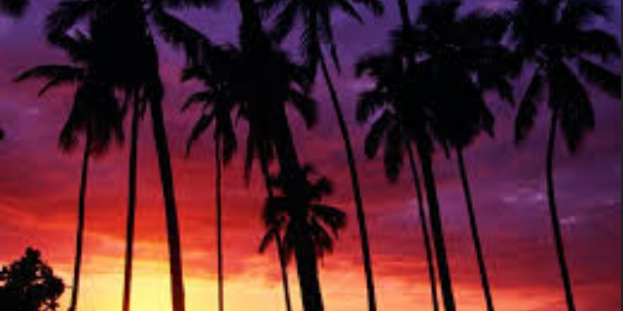 Andrea_Wentzel's profile banner image