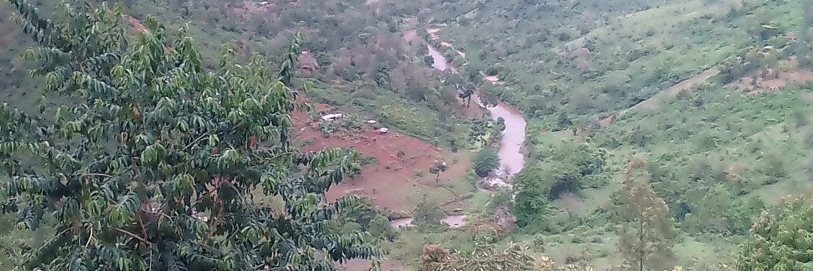 Peteroitich's profile banner image