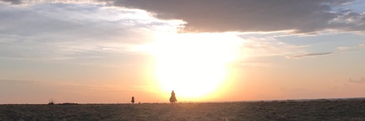 Wharding98's profile banner image