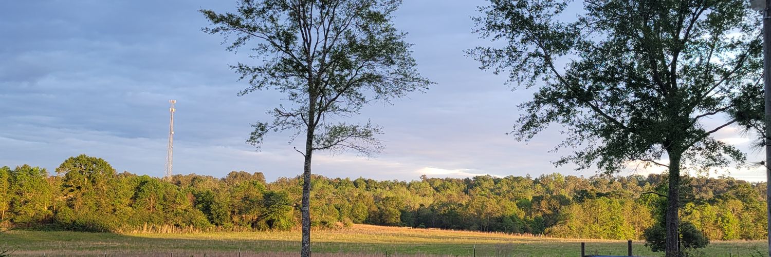 pmitch1978's profile banner image
