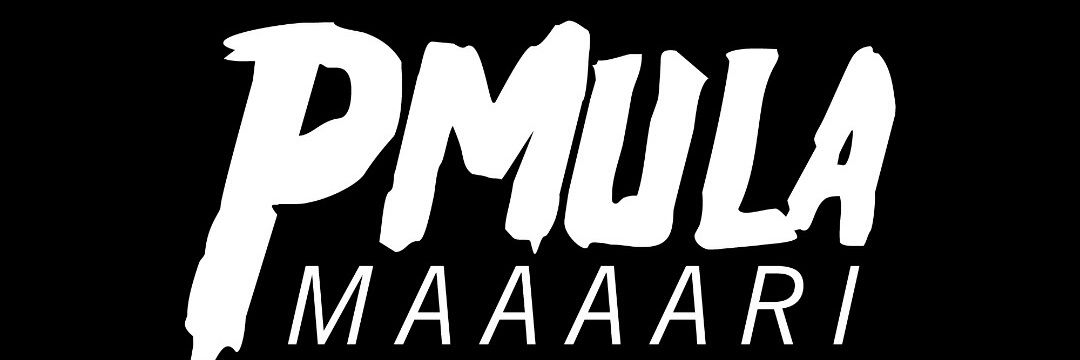 PmuLa263's profile banner image
