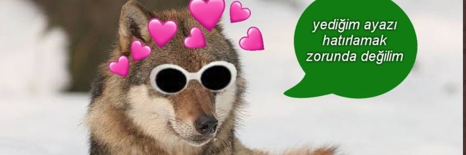 Okay Yıldırım banner
