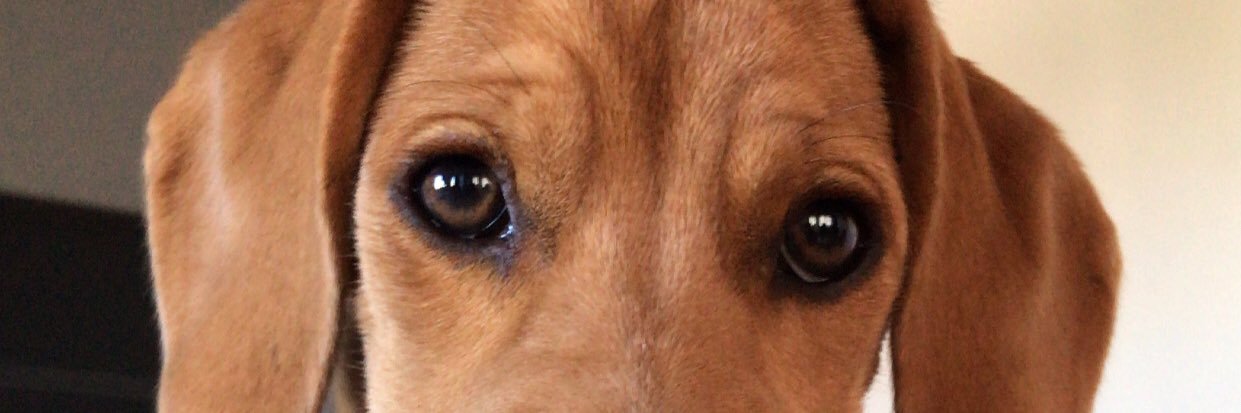 Copita35's profile banner image