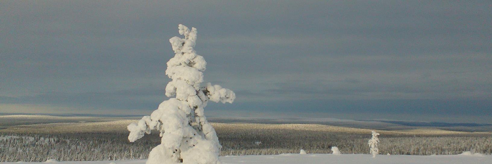 Katri Partanen banner