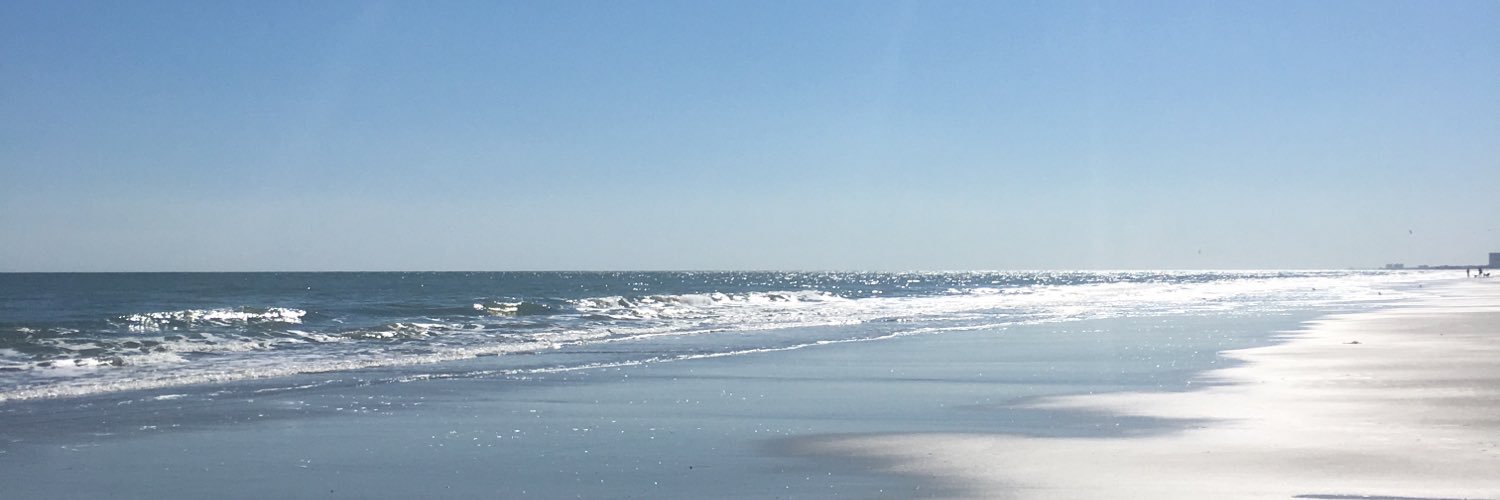 SArkkelin's profile banner image