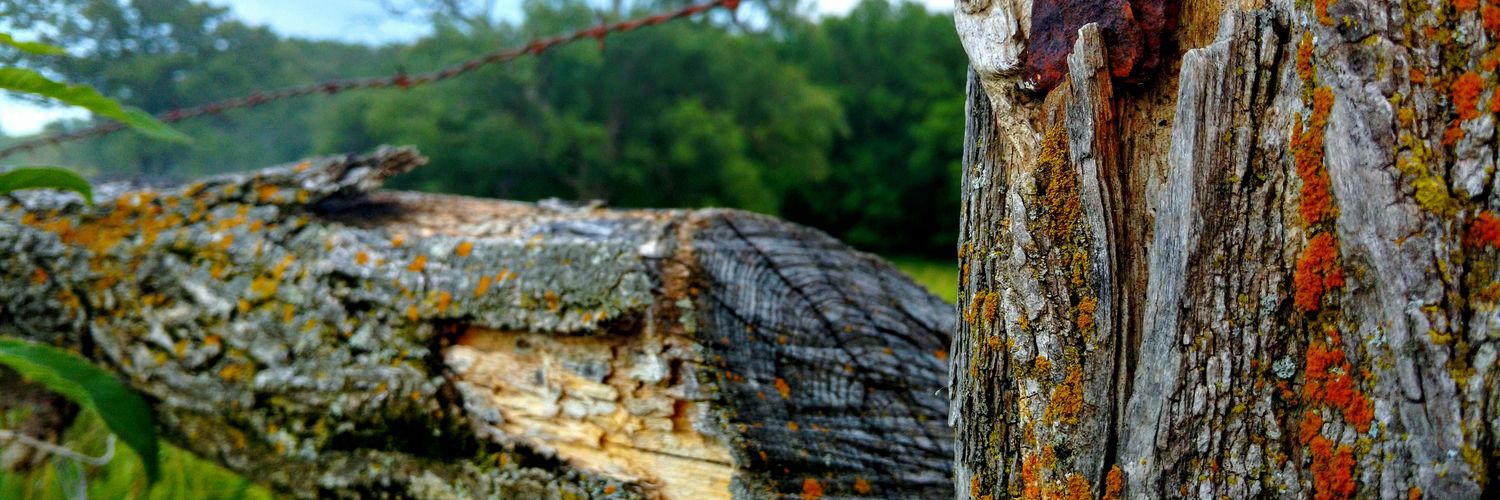 drewbud33's profile banner image