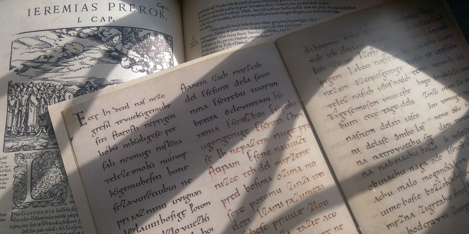 Branko Cestnik ﻦ banner