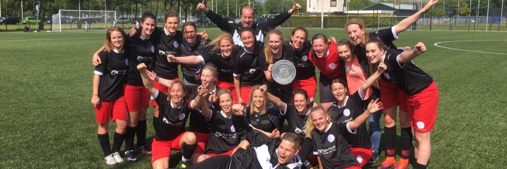 vvijvdames1's profile banner image