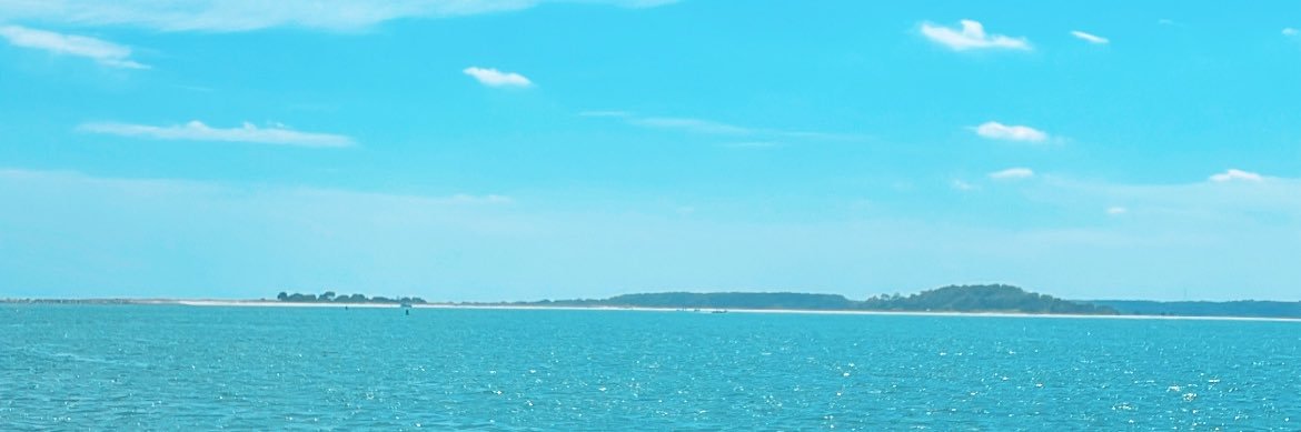 lmschepler's profile banner image