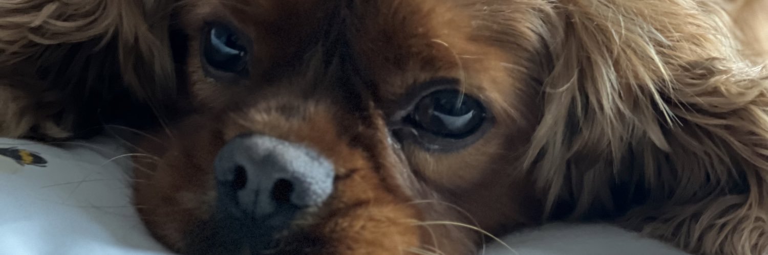 pinkbabi's profile banner image