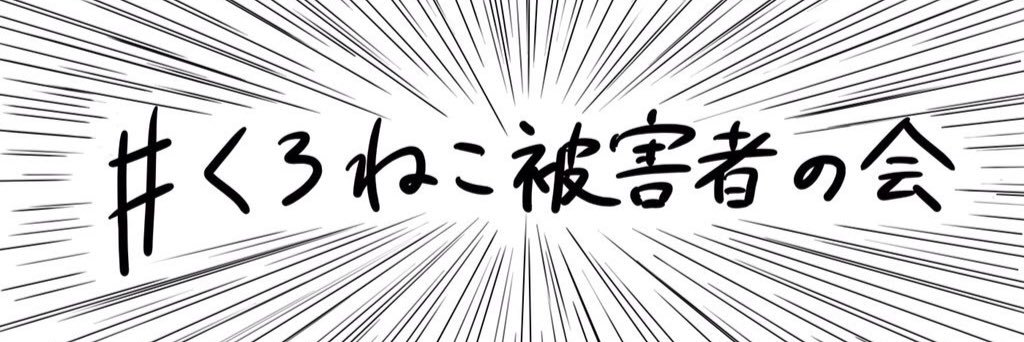 Sis_B_Chi's profile banner image