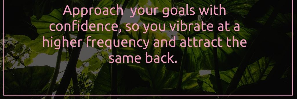MaryMacRory's profile banner image