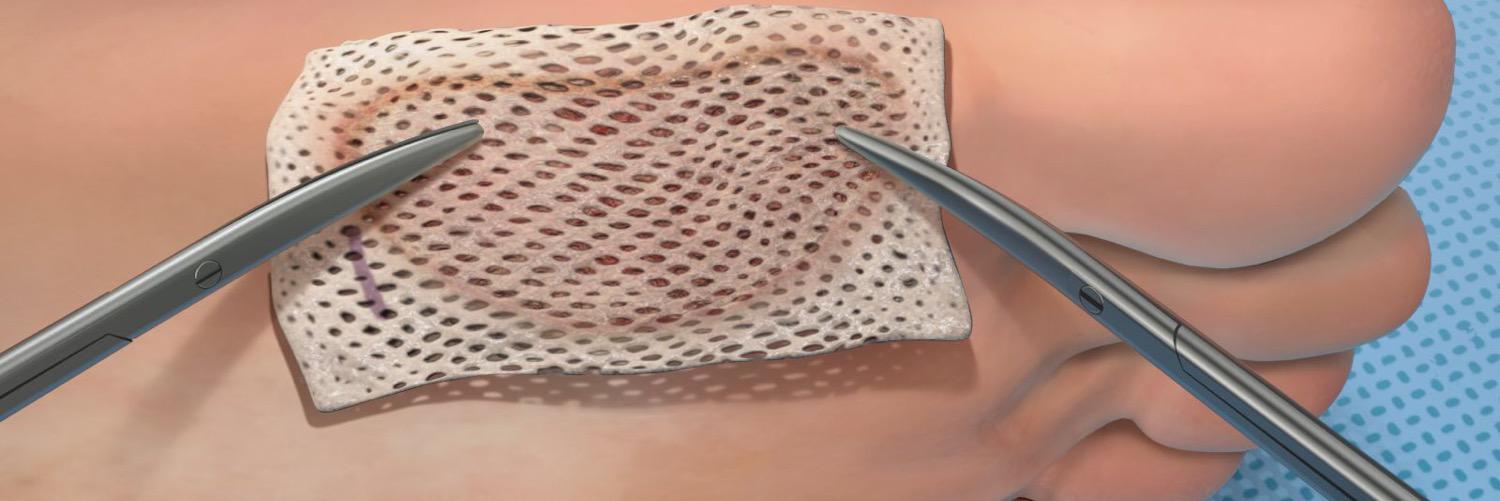 DermACELL's profile banner image