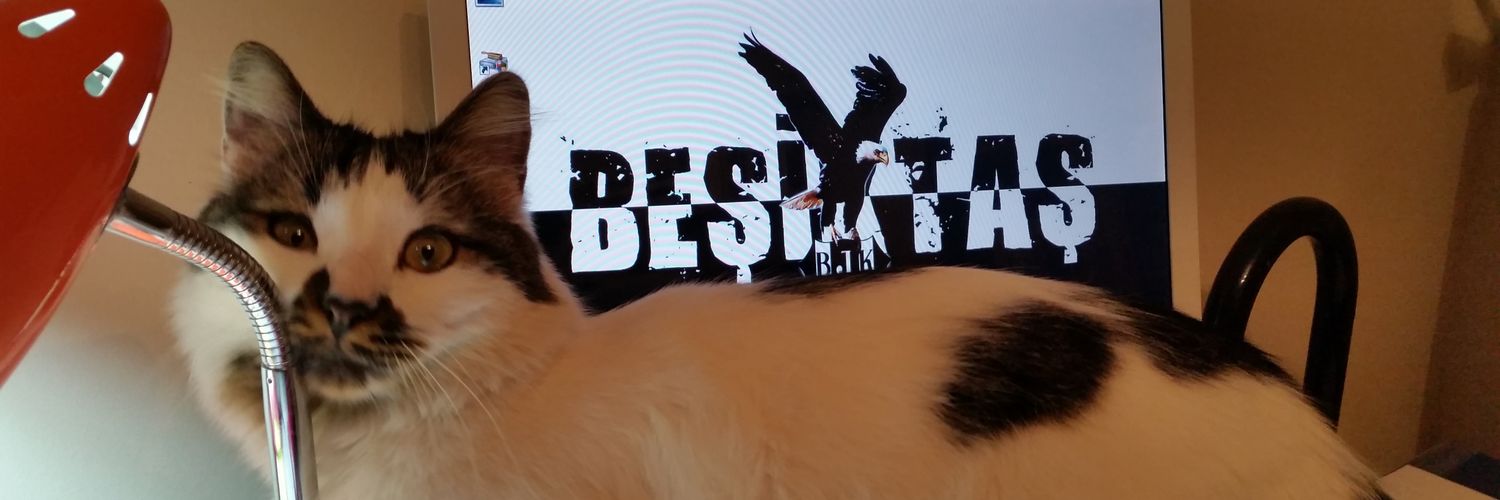 kedipascal's profile banner image