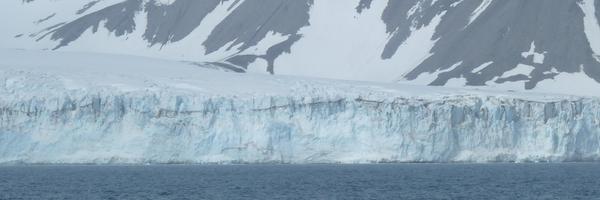 jv_albero Profile Banner